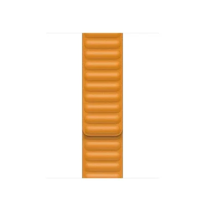 Apple Watch 40mm Band: California Poppy Leather Link - Large