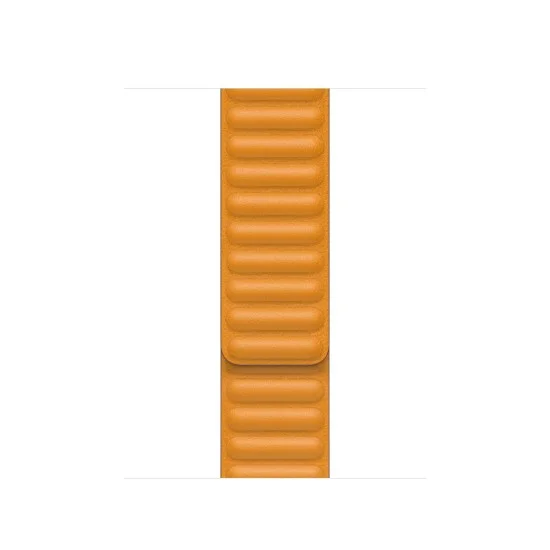 Apple Watch 40mm Band: California Poppy Leather Link - Large