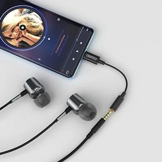 Choetech USB-C to 3.5mm Audio Jack Adaptor