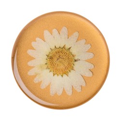 PopSockets Phone Stand and Grip – Pressed Flower White Daisy