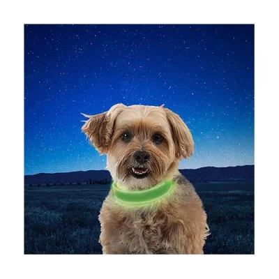 Niteize NiteDog Rechargeable LED Collar Large