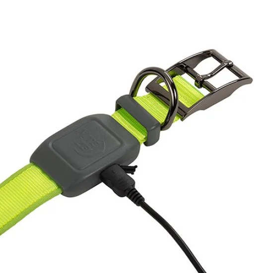 Niteize NiteDog Rechargeable LED Collar XL