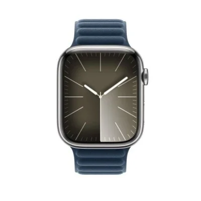 Apple Watch Strap  45Mm Evergreen Magnetic Link - M/L
