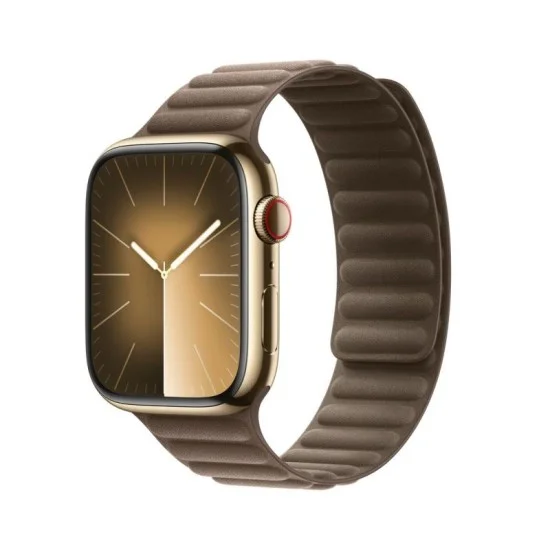 Apple Watch Strap  45Mm Taupe Magnetic Link - M/L