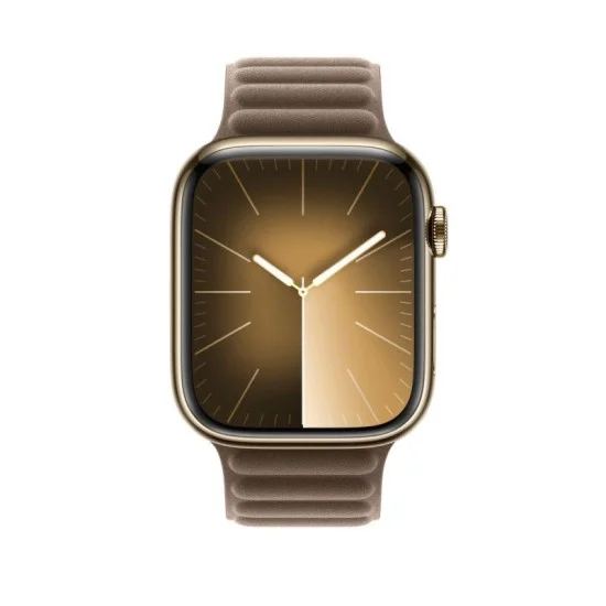 Apple Watch Strap  45Mm Taupe Magnetic Link - M/L